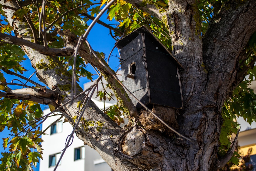 a birdhouse in a tree in front of a building
