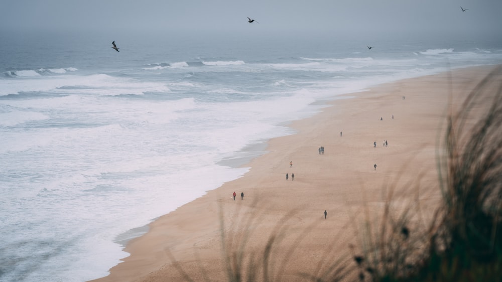 a group of people standing on top of a sandy beach