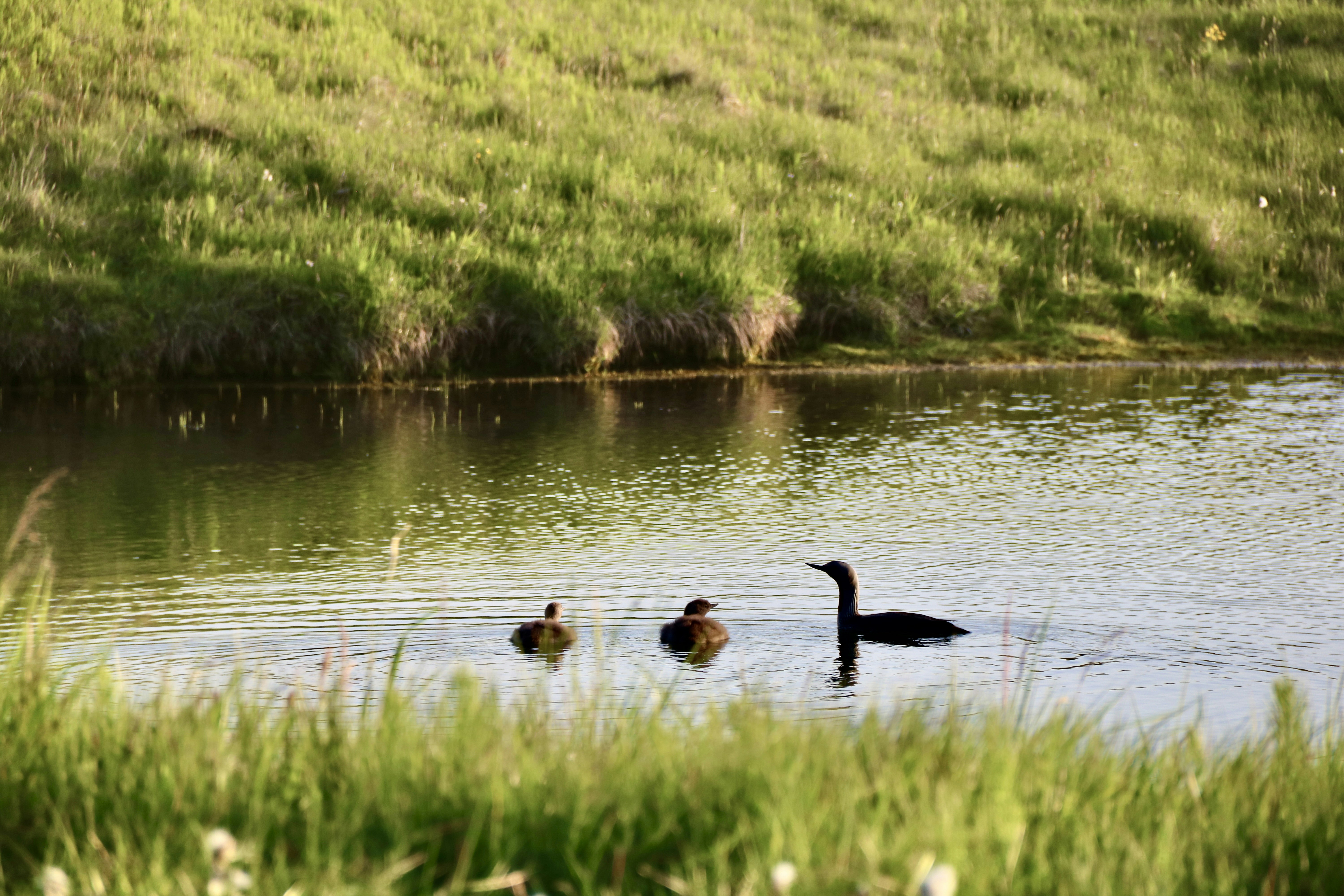 Photo by jorgefdezsalas