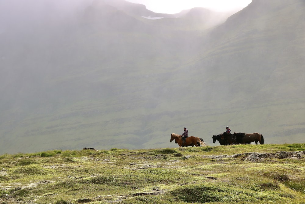 two people are riding horses in the mountains