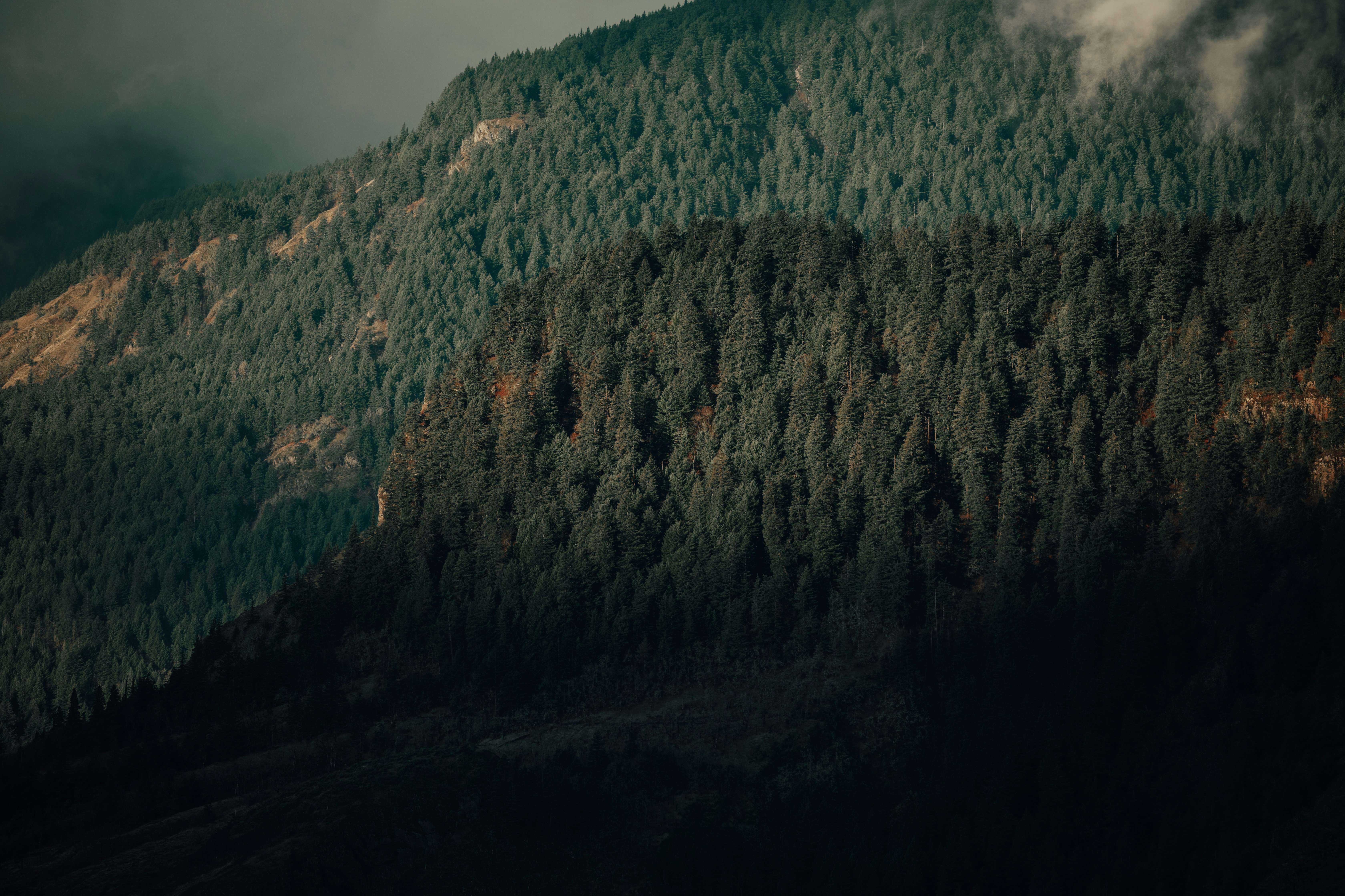 Photo by parachutel_