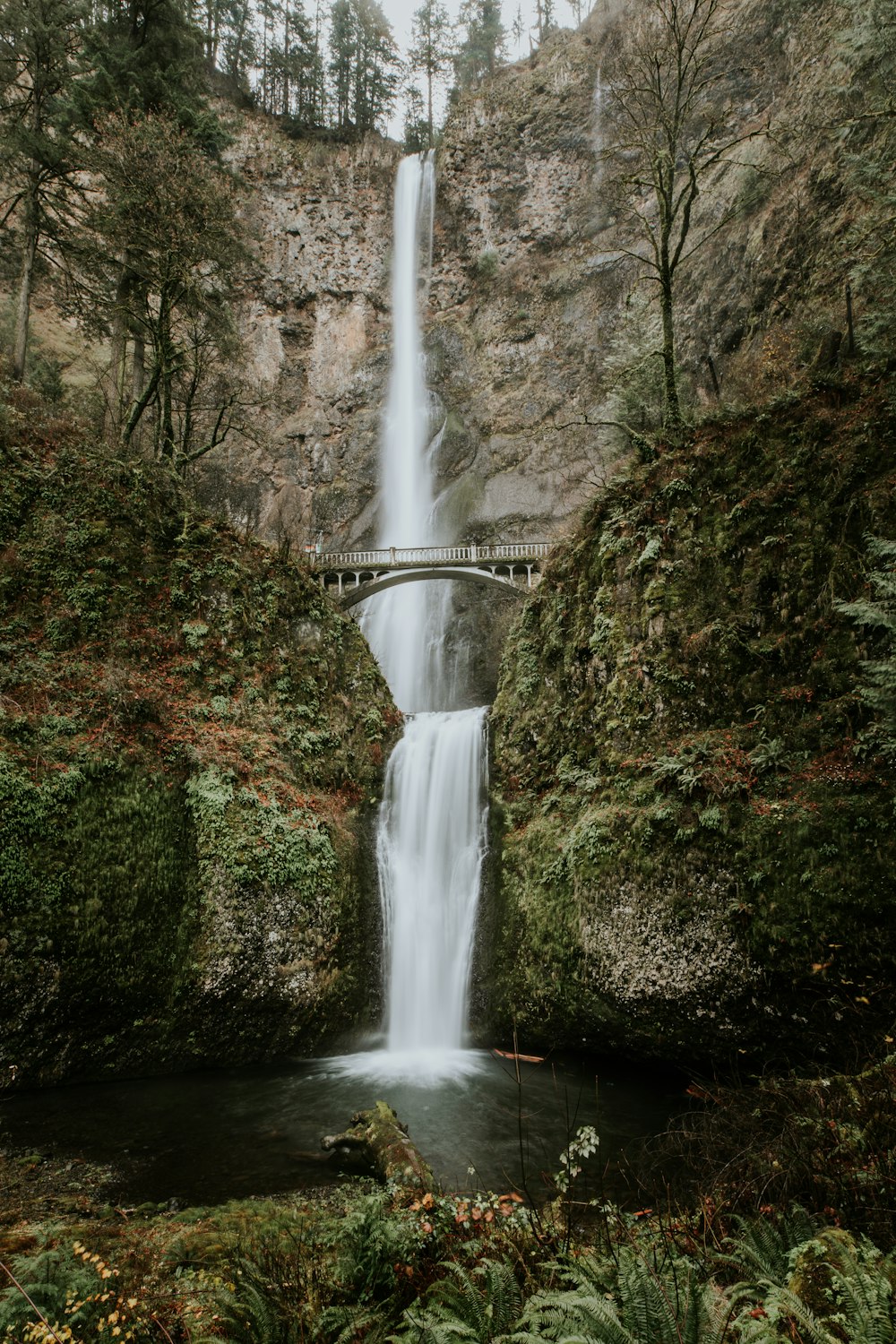 a waterfall with a bridge over it in the middle of a forest