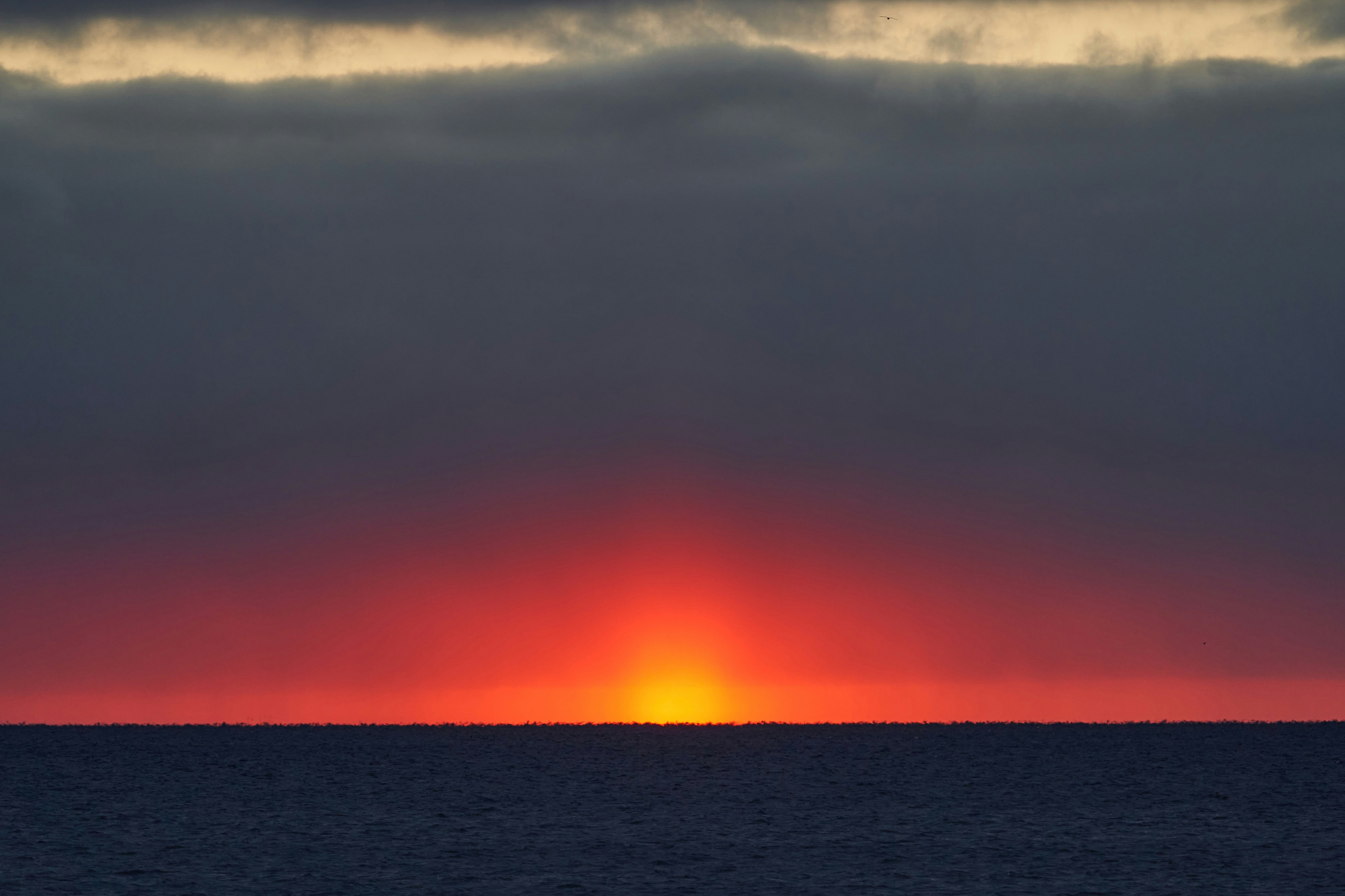 Photo by wolfgang_hasselmann