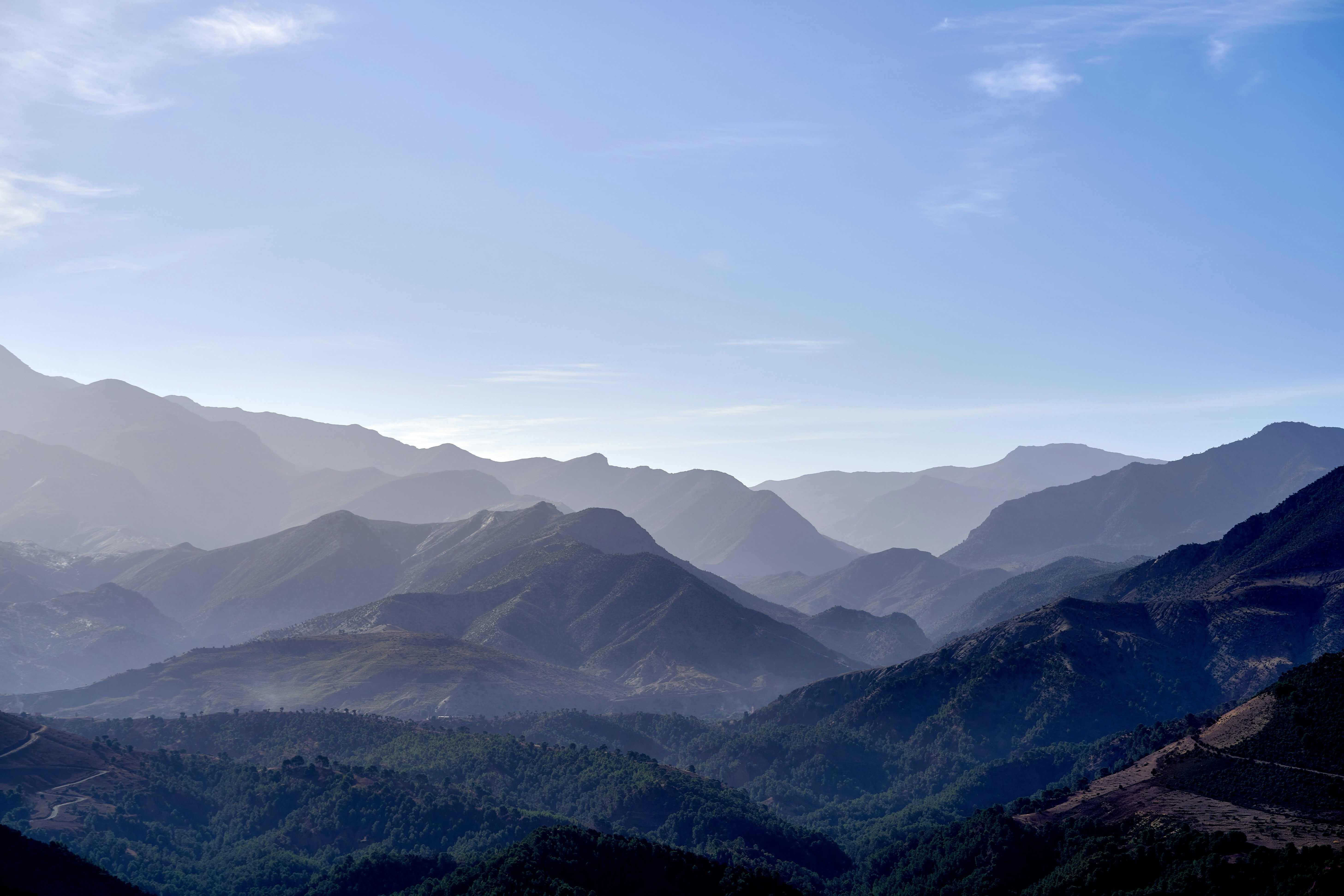 Photo by wolfgang_hasselmann