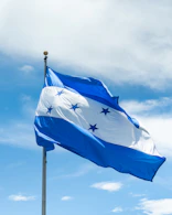 a blue and white flag flying in the wind