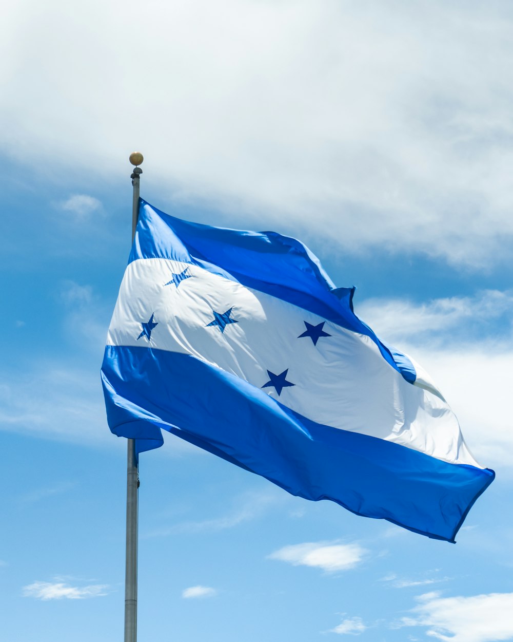 a blue and white flag flying in the wind