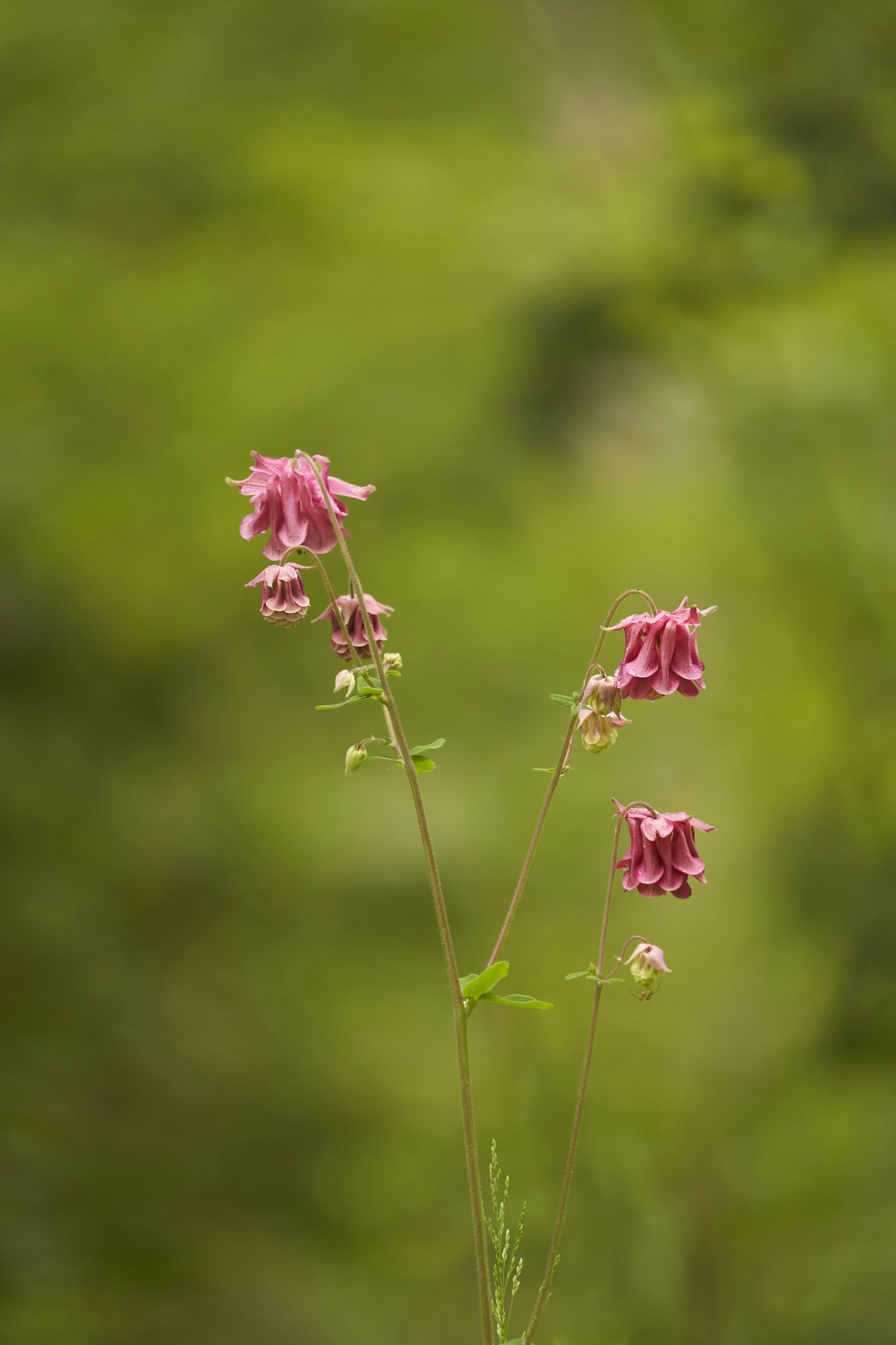 Photo by wolfgang_hasselmann