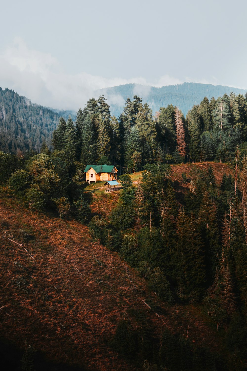 a house in the middle of a forest