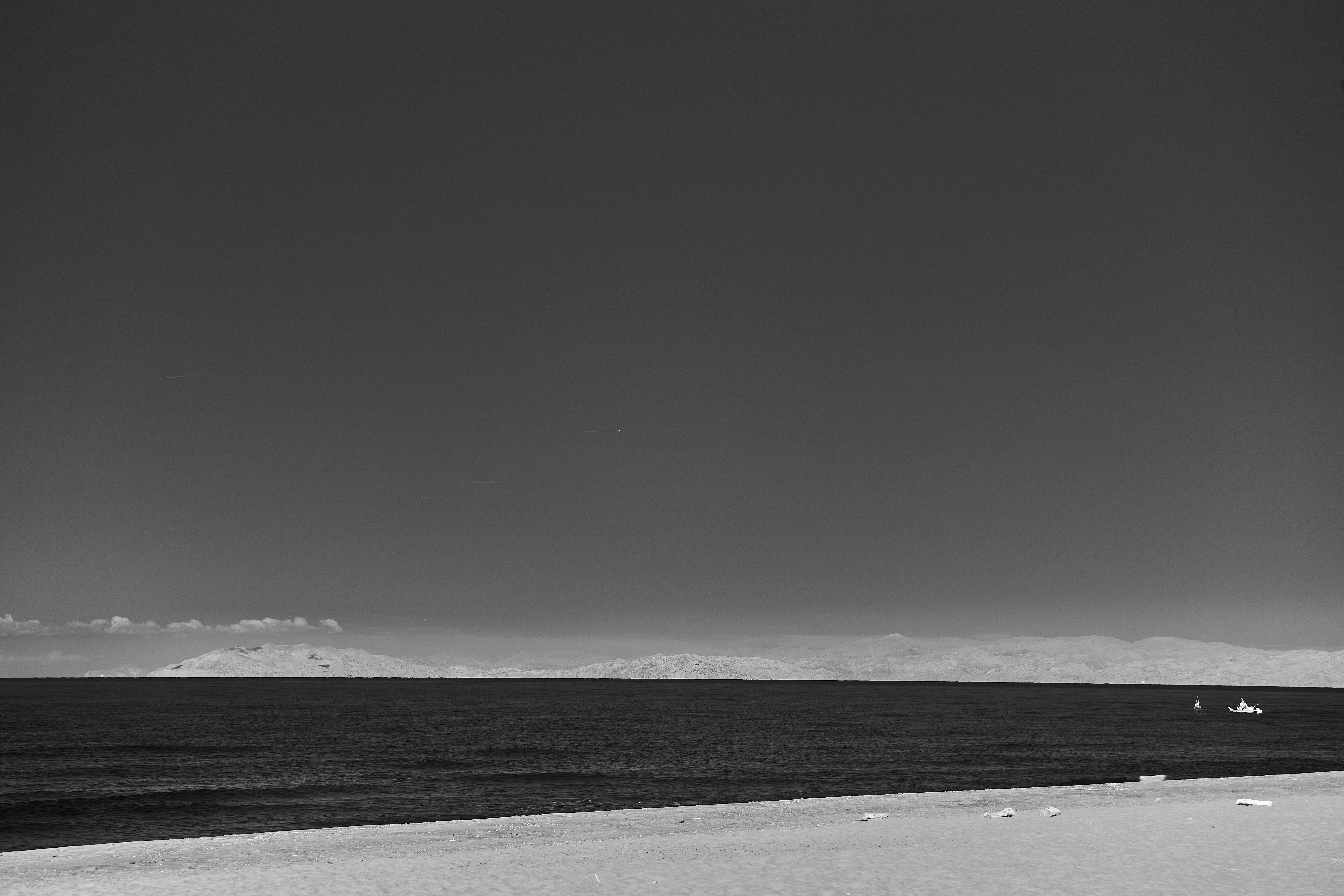 Photo by wolfgang_hasselmann