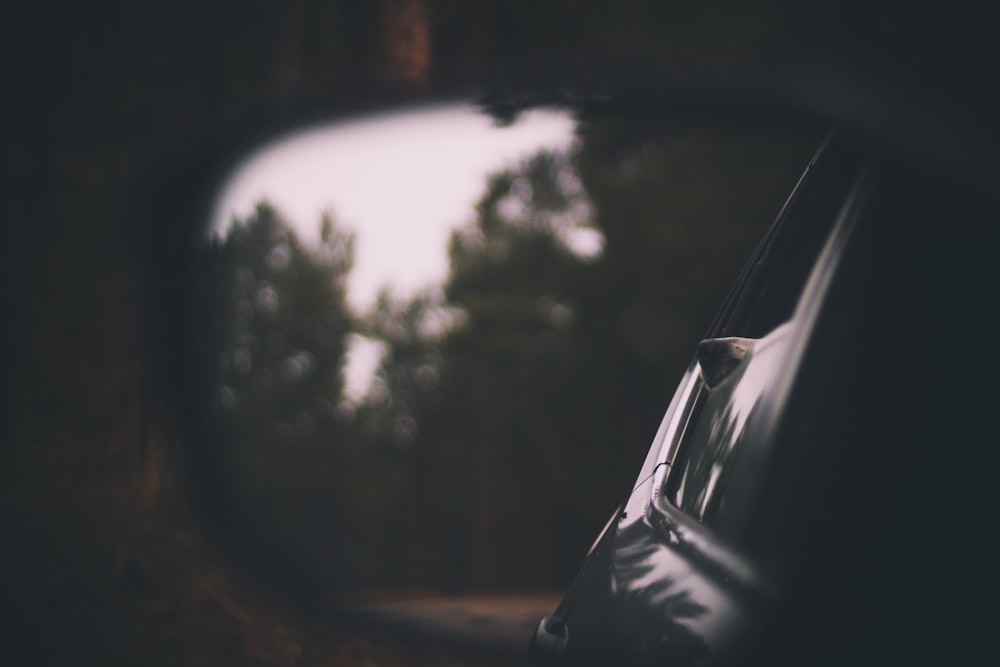 a car's side view mirror reflecting a tree