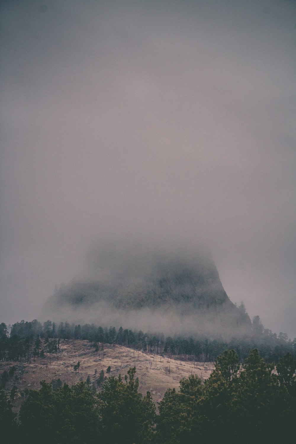 a mountain covered in fog with trees on the side