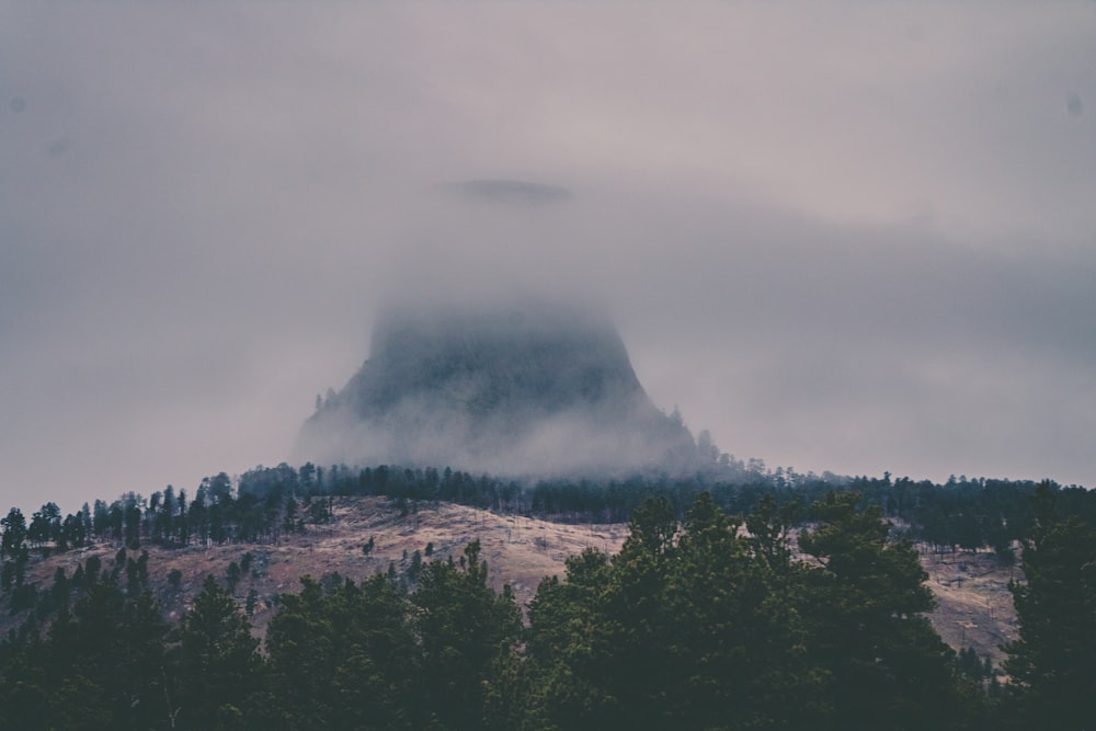 a mountain covered in fog with trees in the foreground