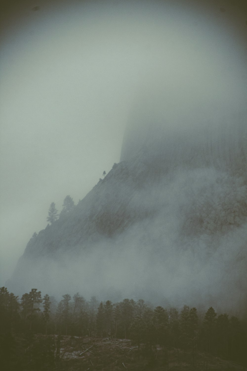 a mountain covered in fog with trees in the foreground