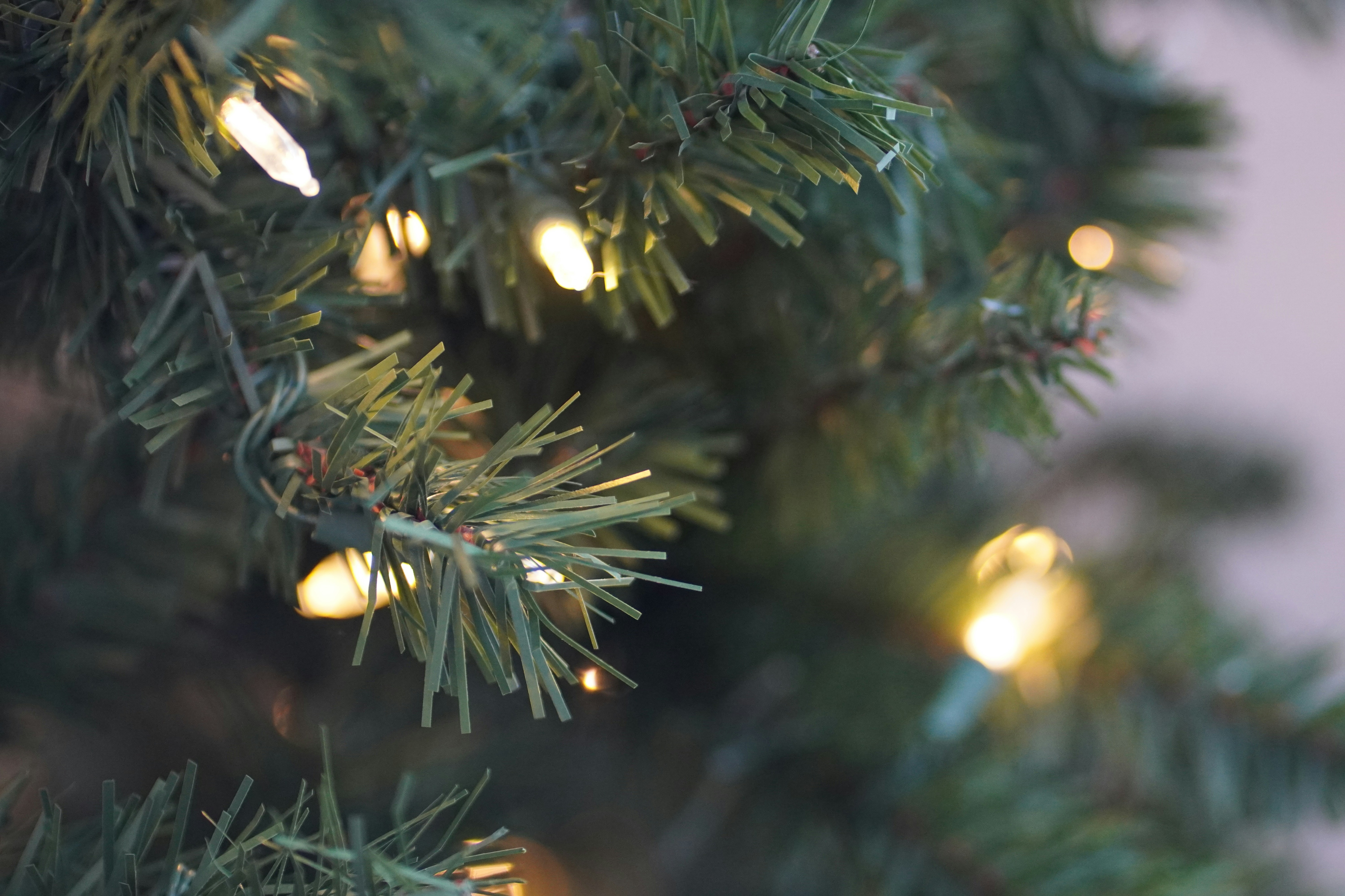 Photo by kolbymilton