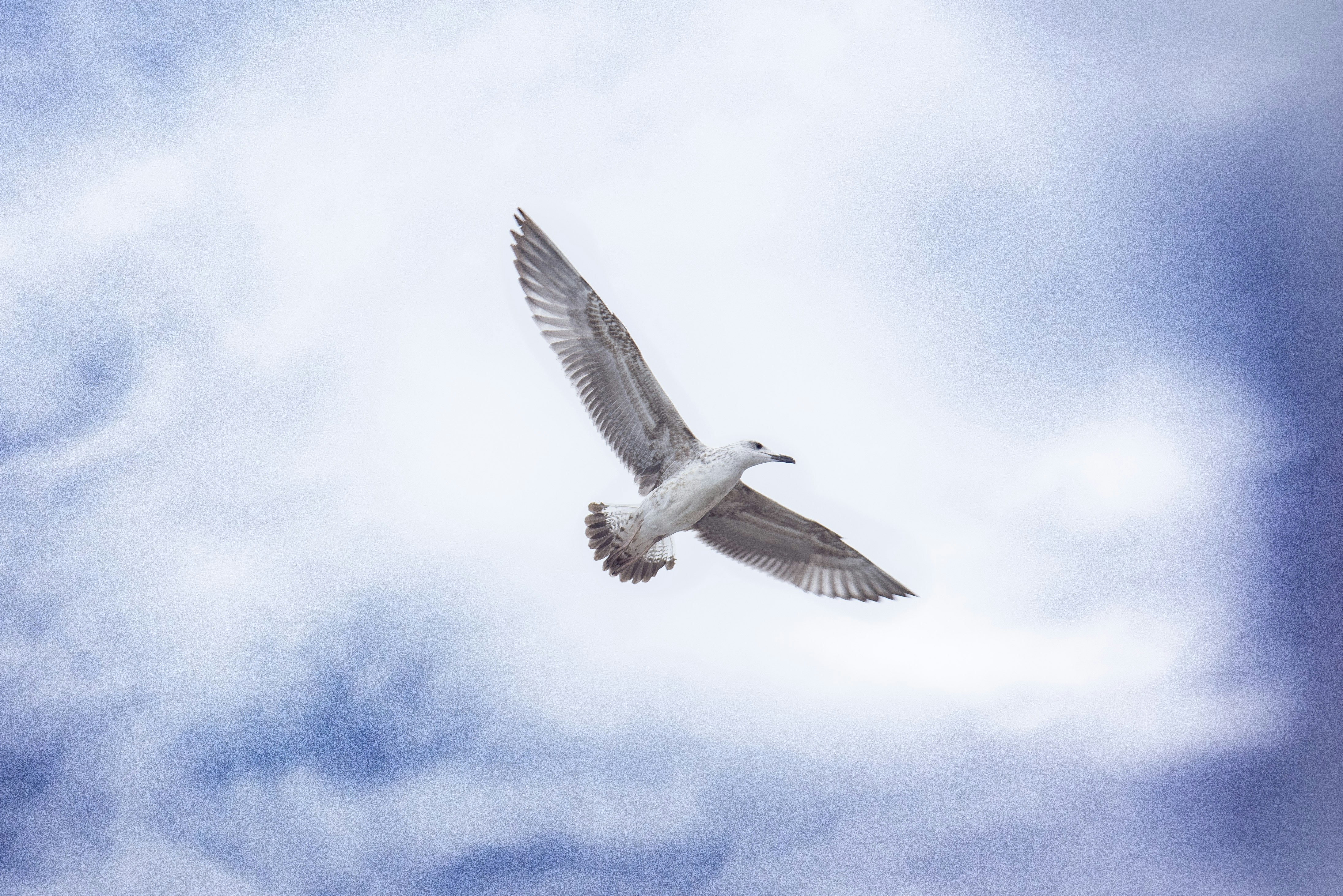 Photo by alexbc_photographer