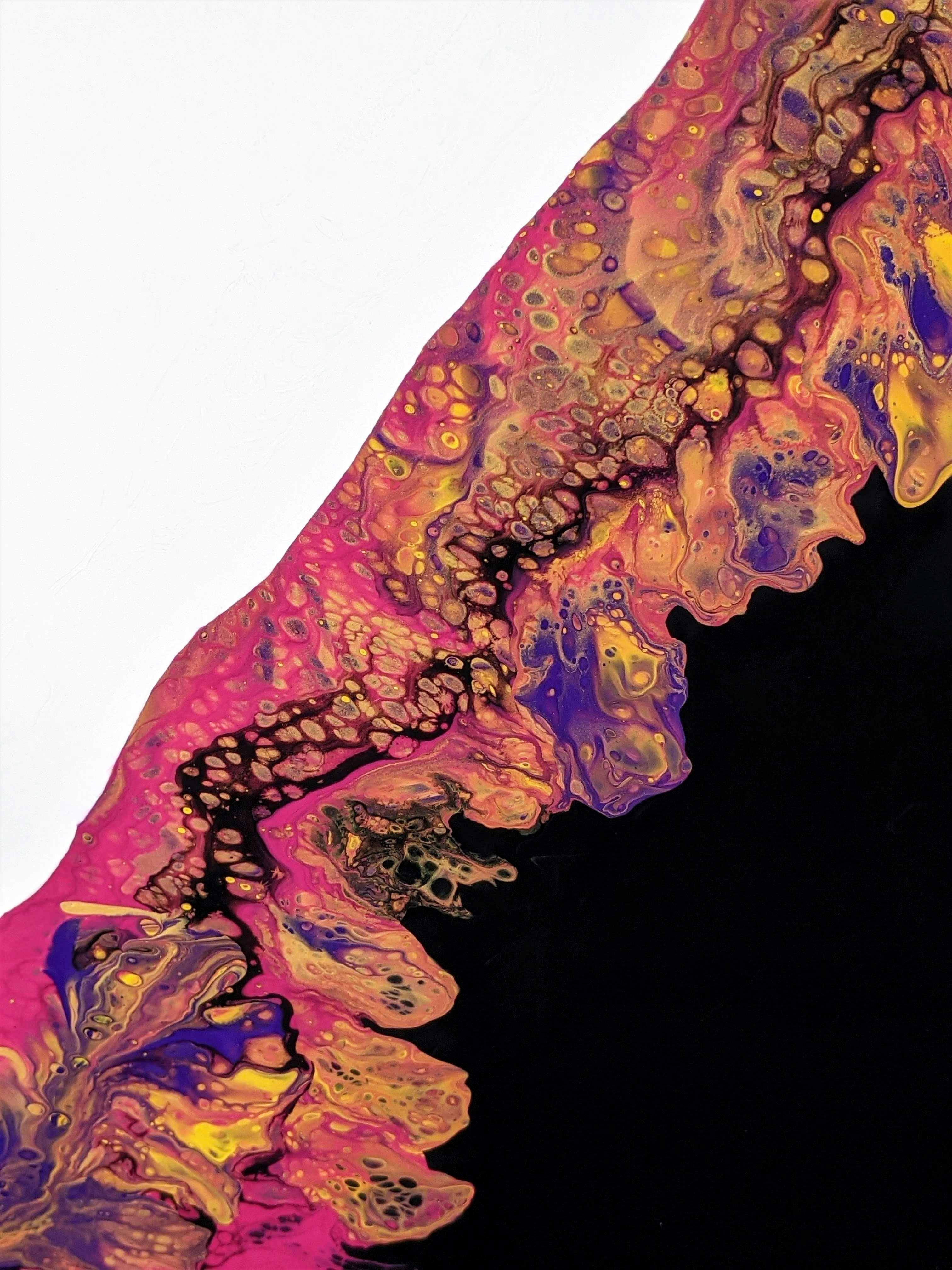 Photo by susan_wilkinson