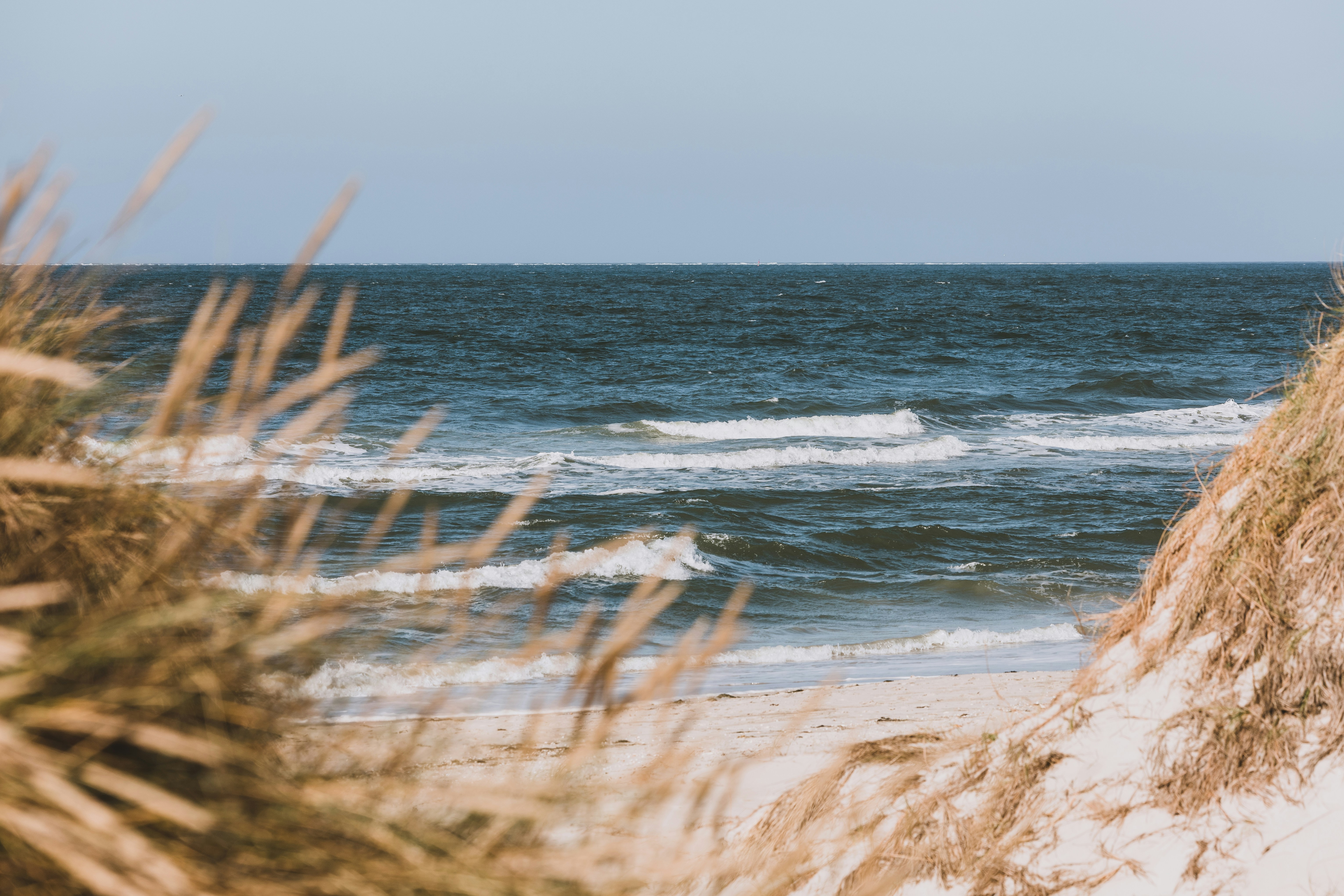 Photo by timonreinhard