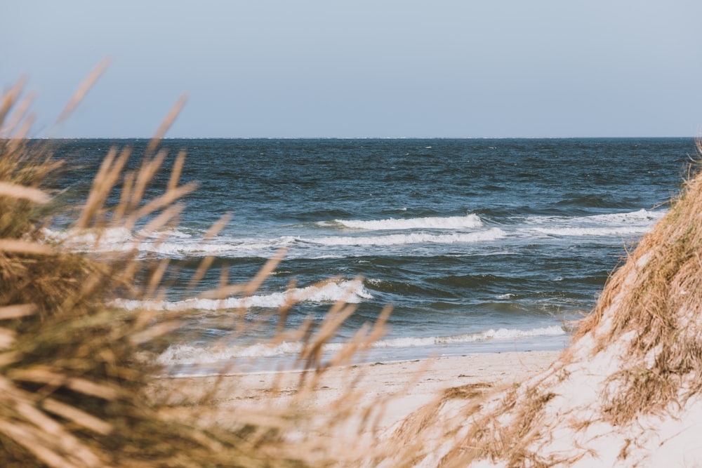 a view of a body of water from a beach