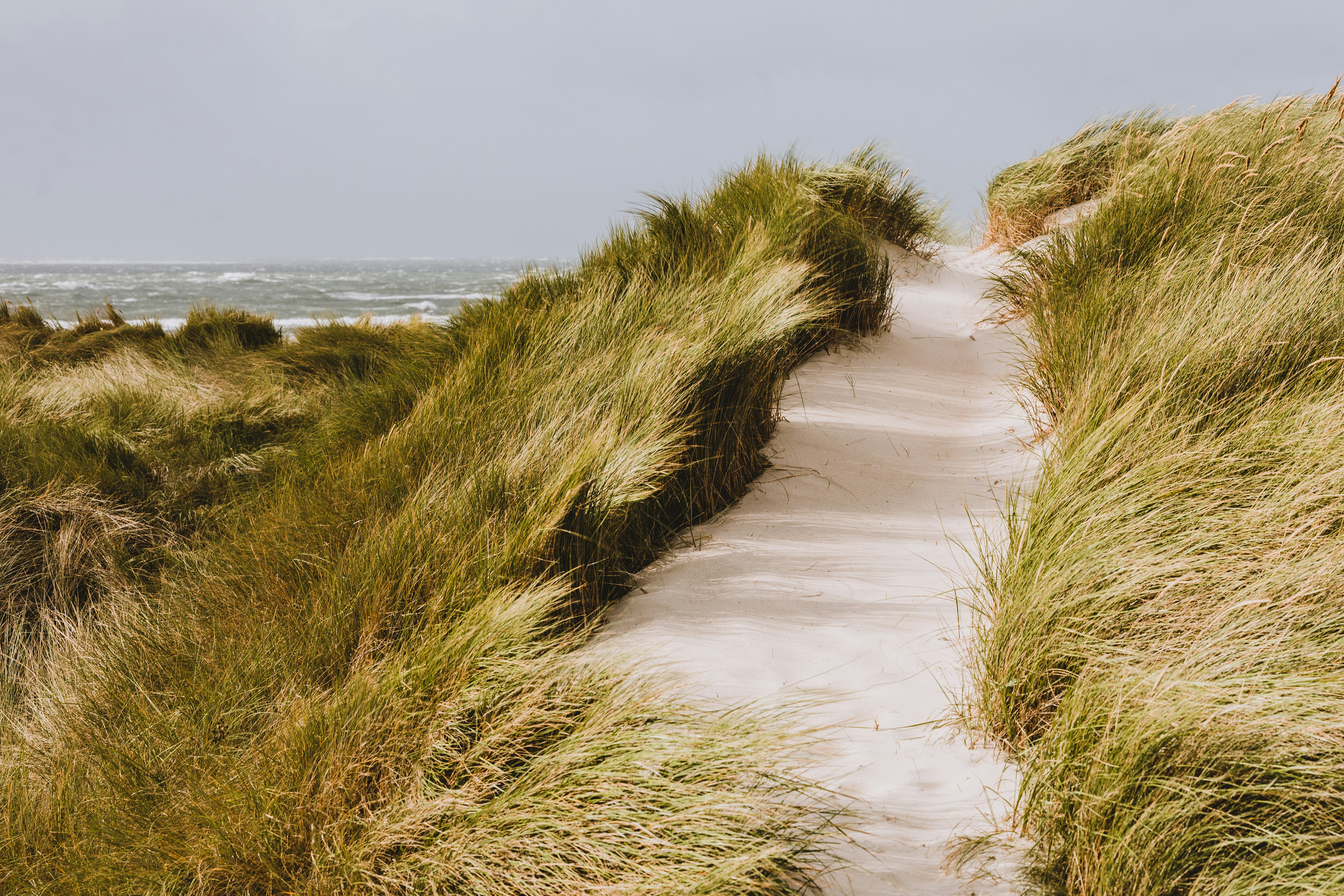 Photo by timonreinhard