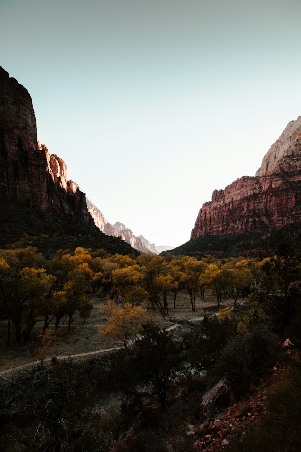 a scenic view of mountains and trees in the desert