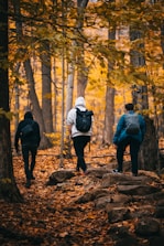 a group of people walking through a forest