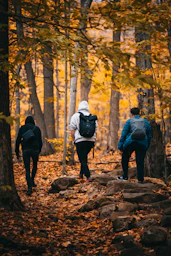 a group of people walking through a forest