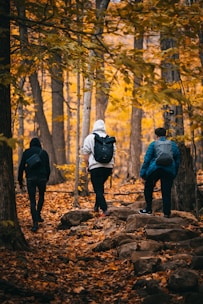 a group of people walking through a forest