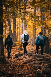 Three people with backpacks walk along a forest path surrounded by trees with vibrant autumn foliage. The ground is covered in fallen leaves, and the scene conveys a sense of exploration and tranquility.