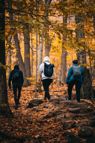 A group of travelers enjoying a slow hike with backpacks, surrounded by autumn-colored foliage.