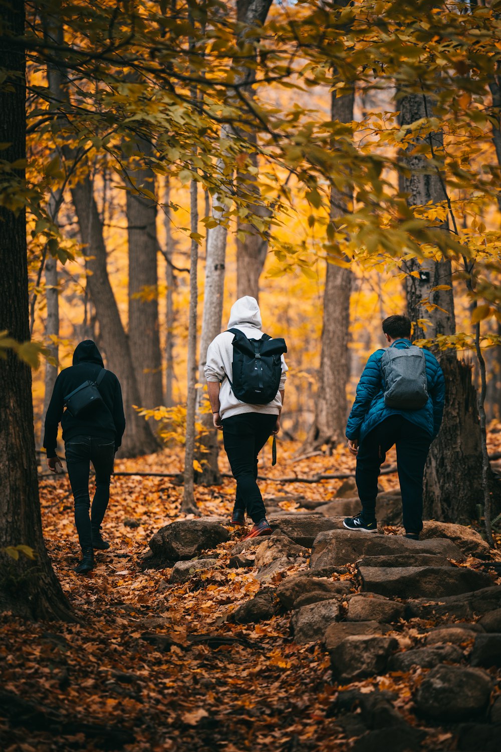 Un gruppo di persone che camminano attraverso una foresta