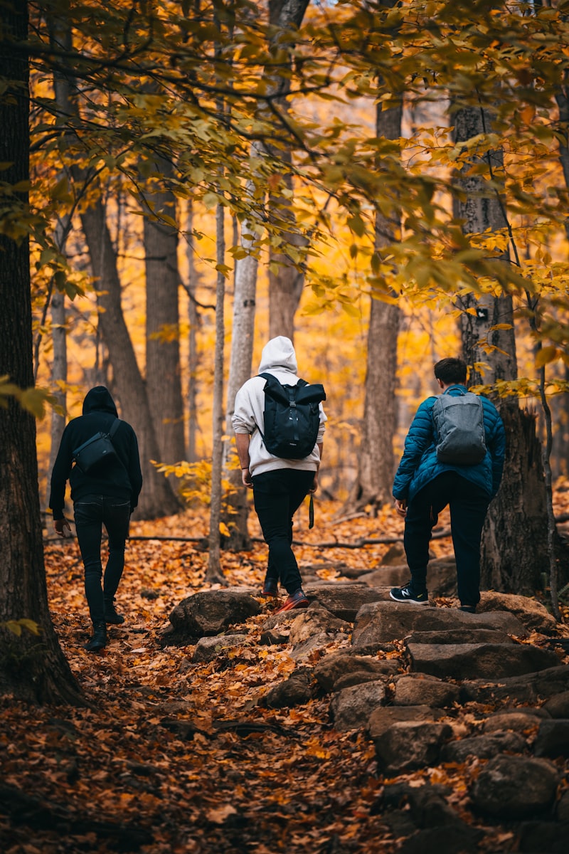 Friends hiking through fall foliage