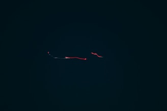 Minimalistic white background showing a clean data pipeline with smooth motion lines connecting nodes.