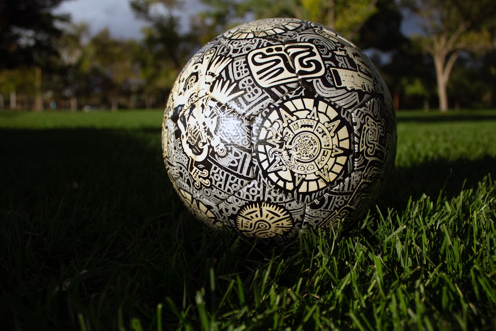 a close up of a ball in the grass