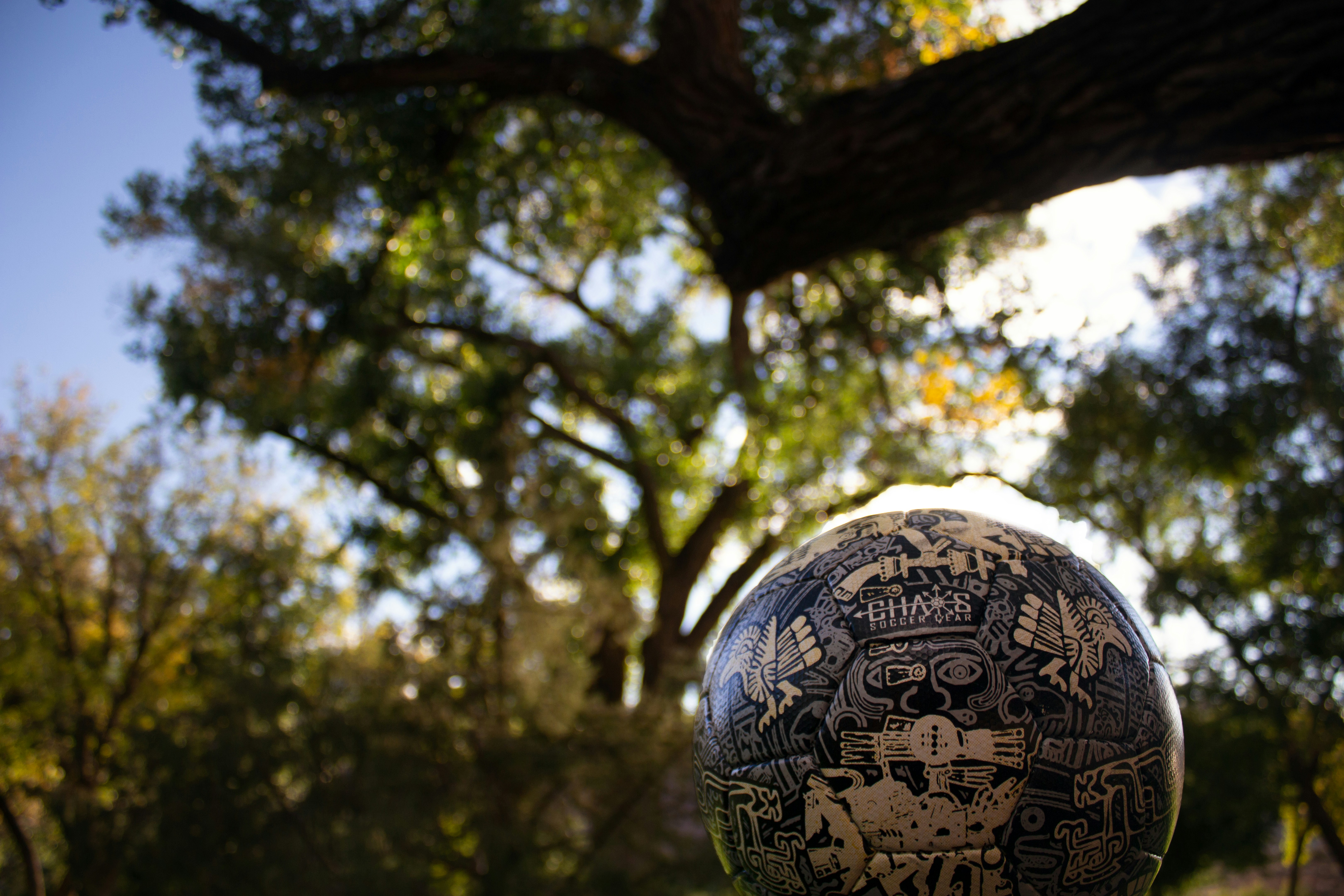 a black and white ball sitting in front of a tree