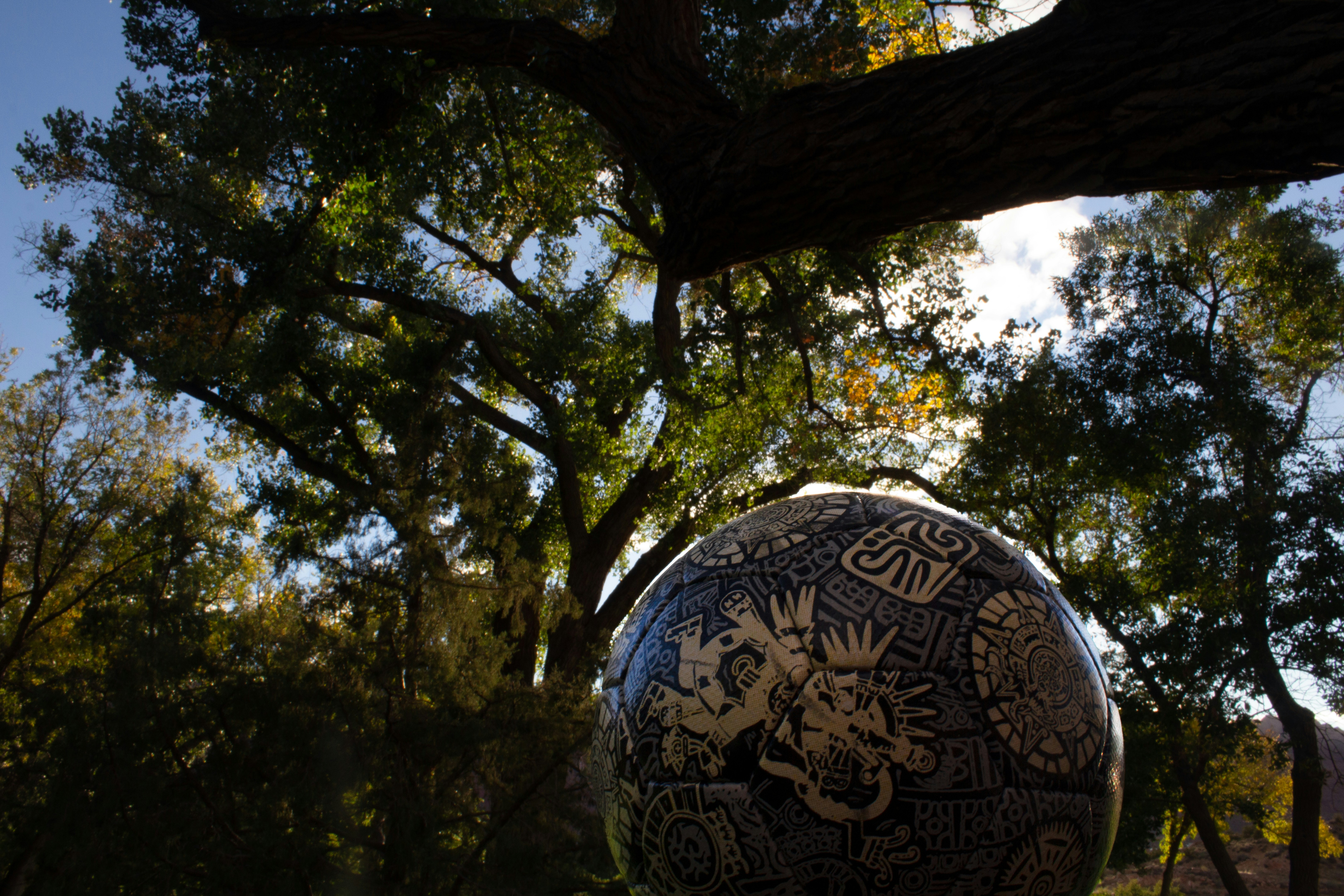 a large metal ball sitting in the middle of a forest