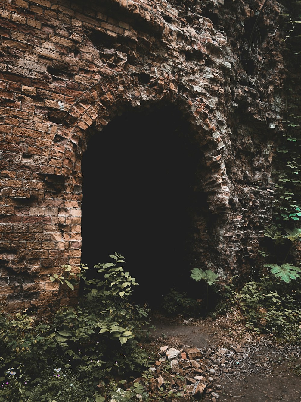 a stone tunnel in the middle of a forest