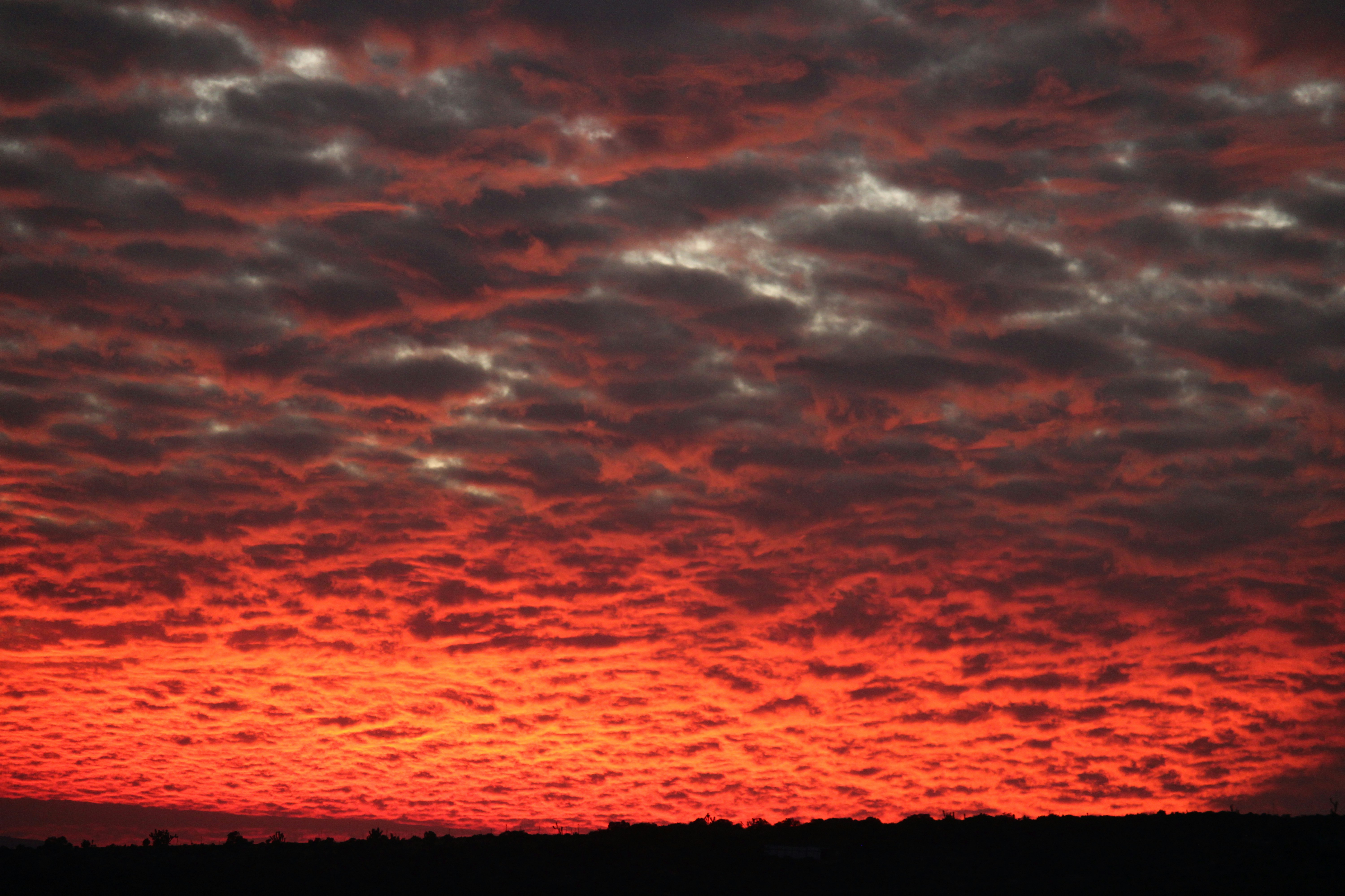 Photo by gaeljimenez_29