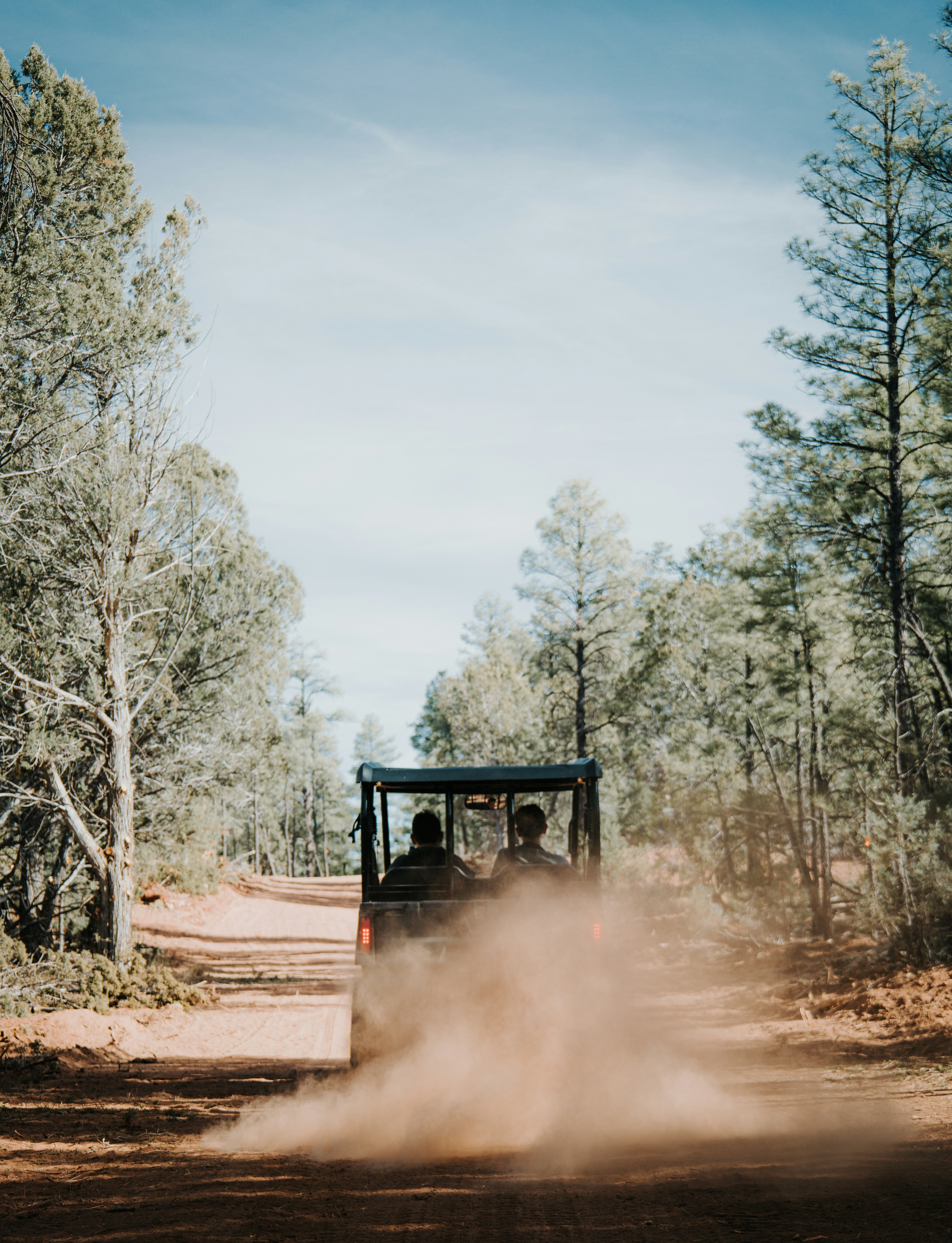 Photo by jeffersonsees