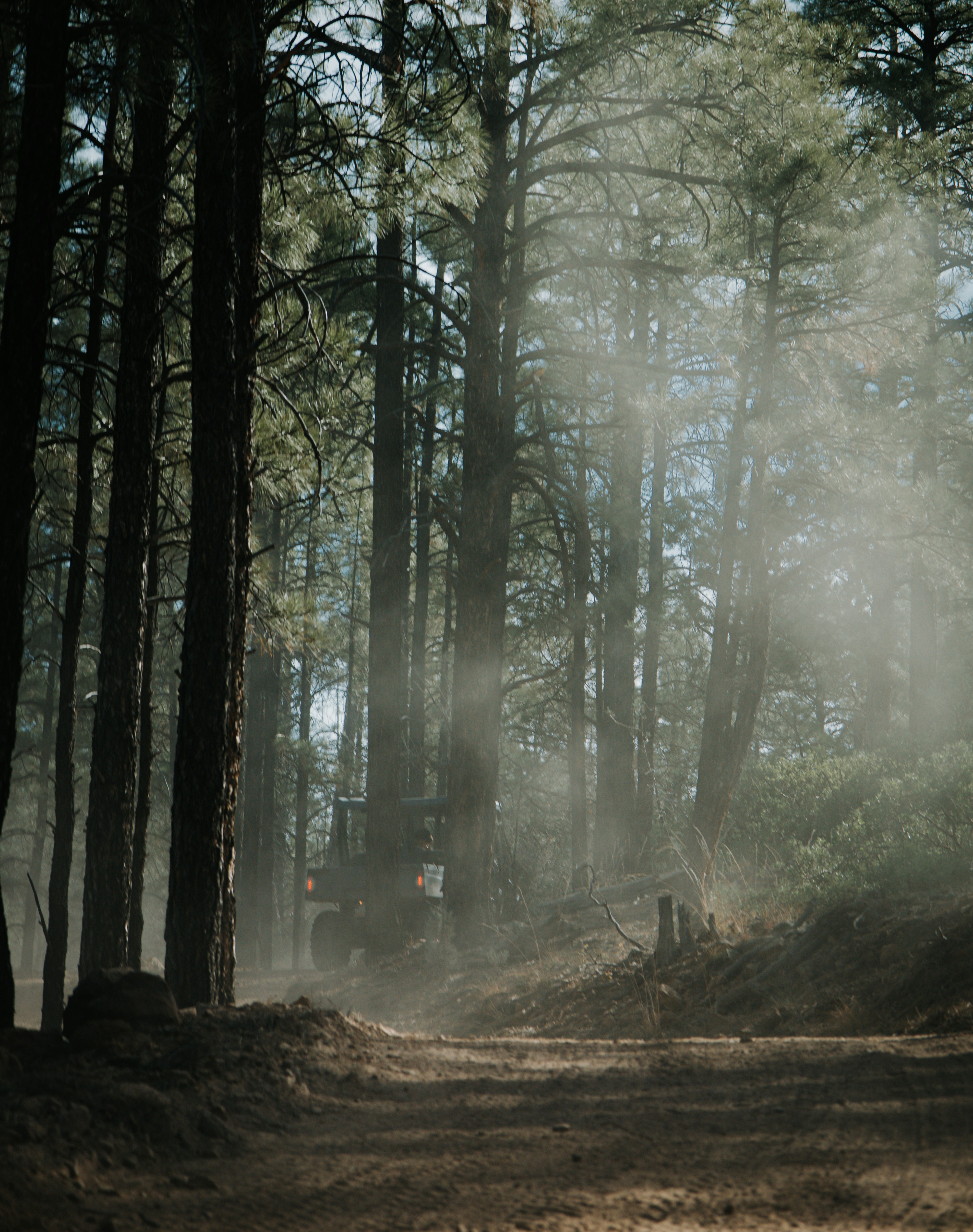 Photo by jeffersonsees