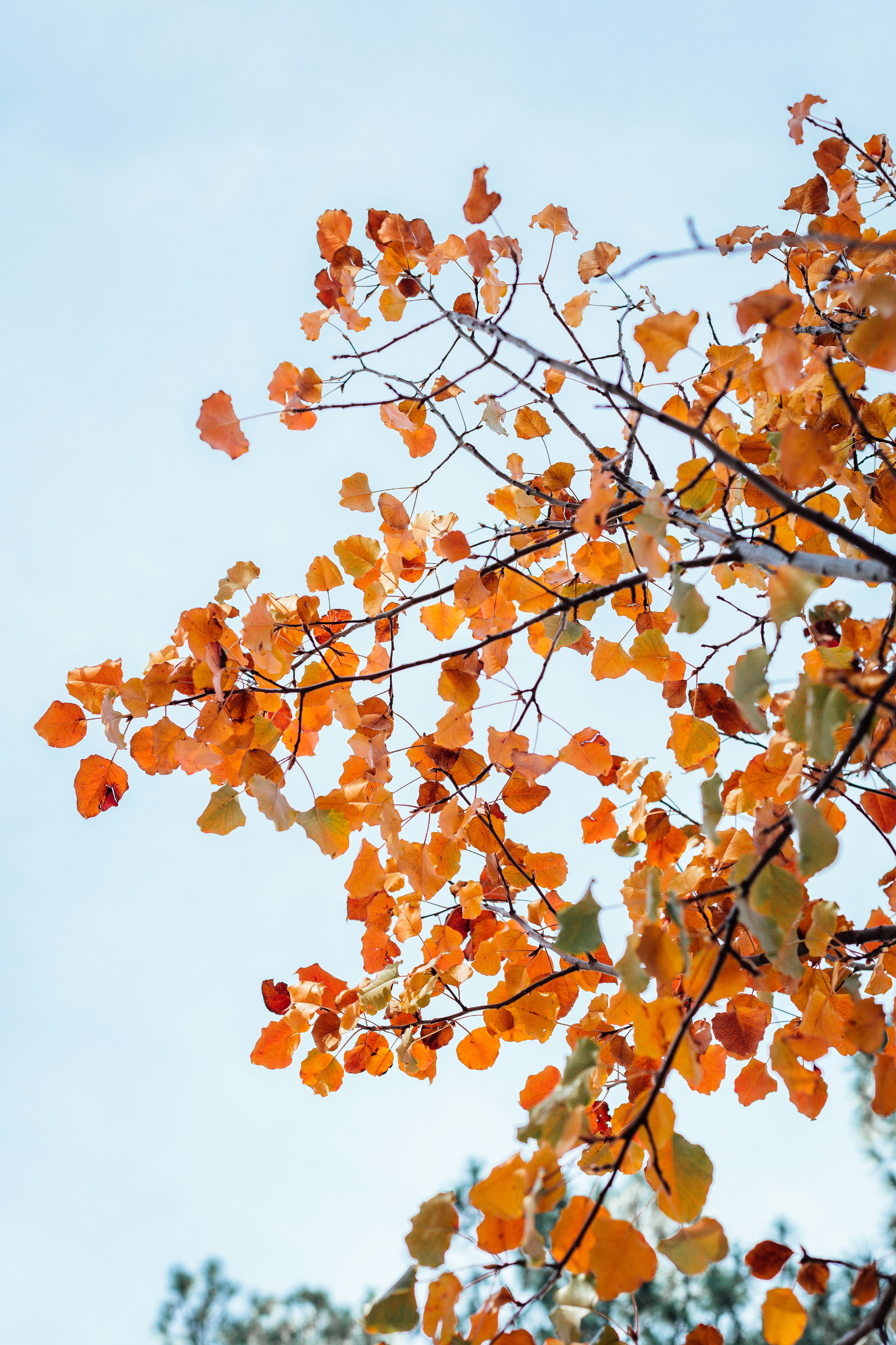 Photo by jeffersonsees