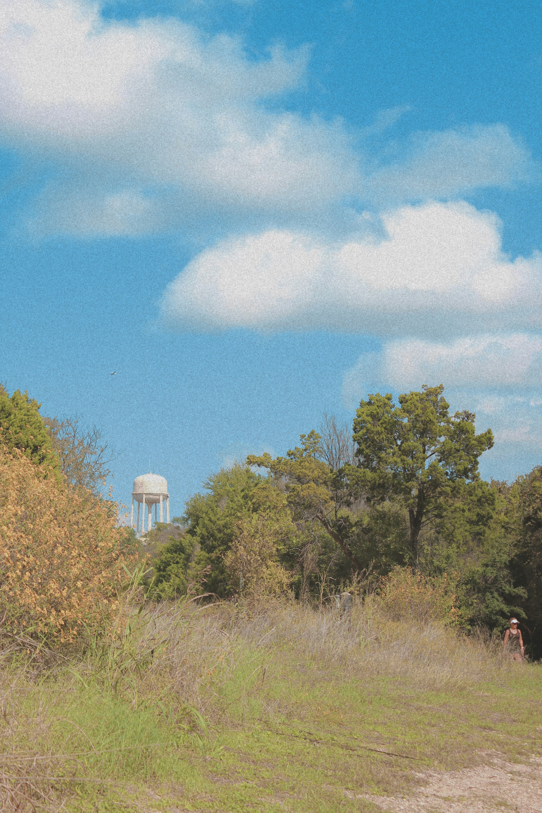 Eine Giraffe auf einem Feld mit einem Wasserturm im Hintergrund