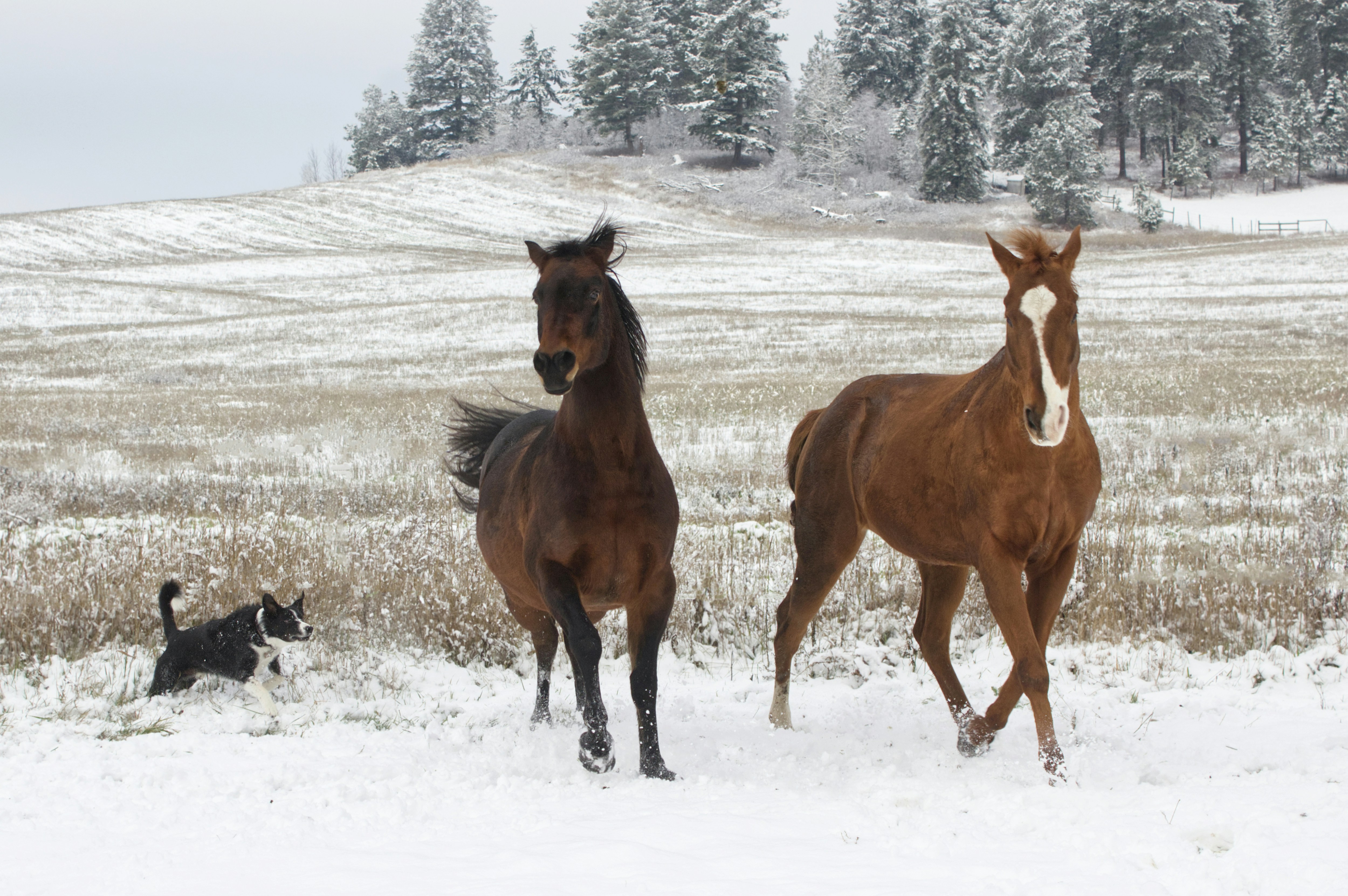 Photo by frozenmoments