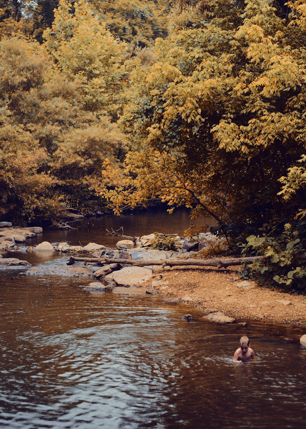 a man wading in a river surrounded by trees