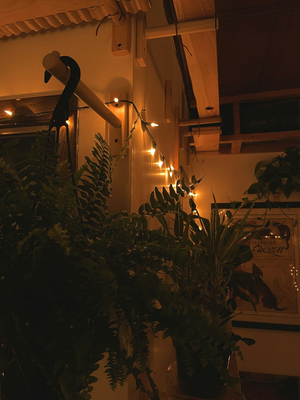 a room with plants and lights on the wall