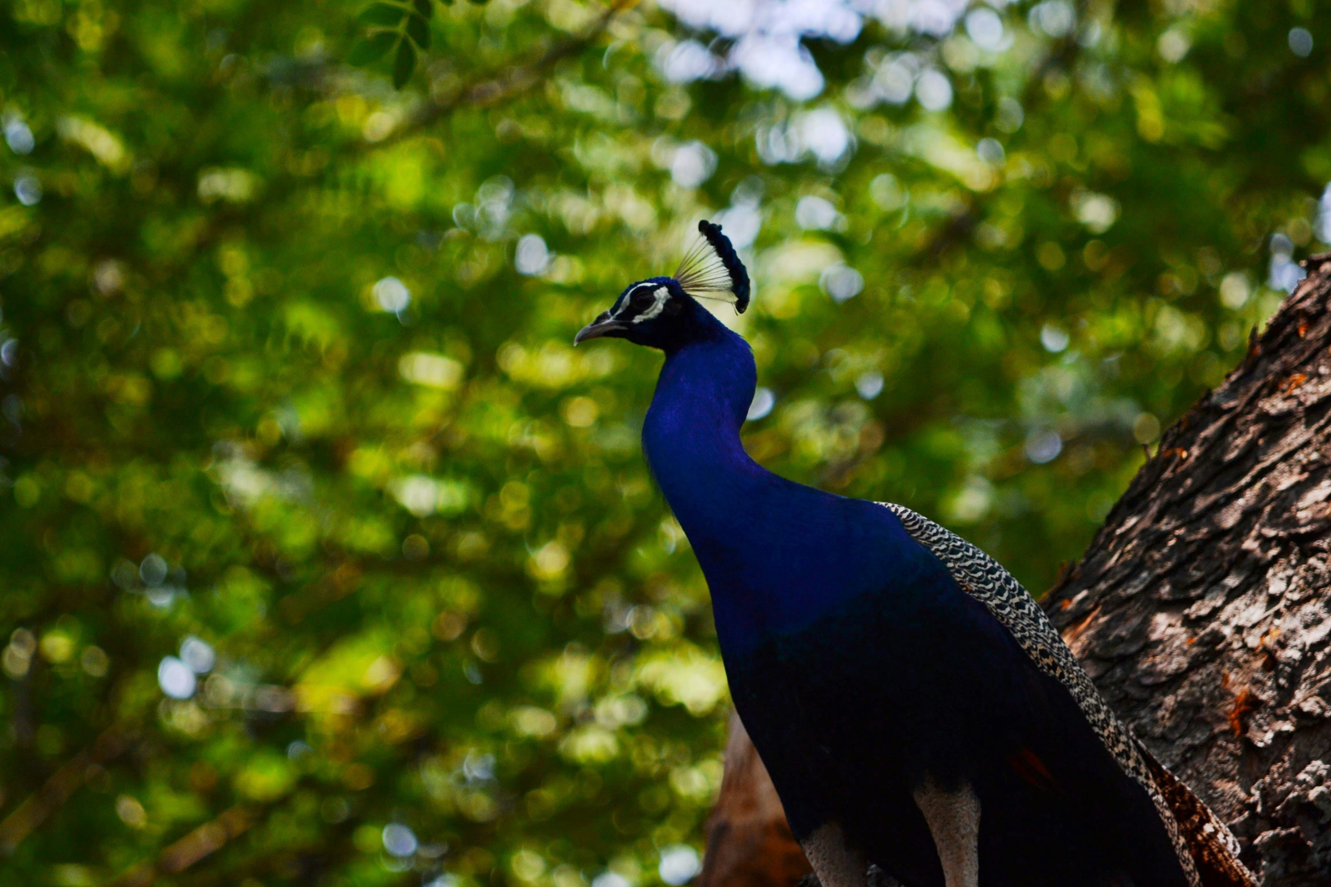 Photo by harshwardhan_parmar