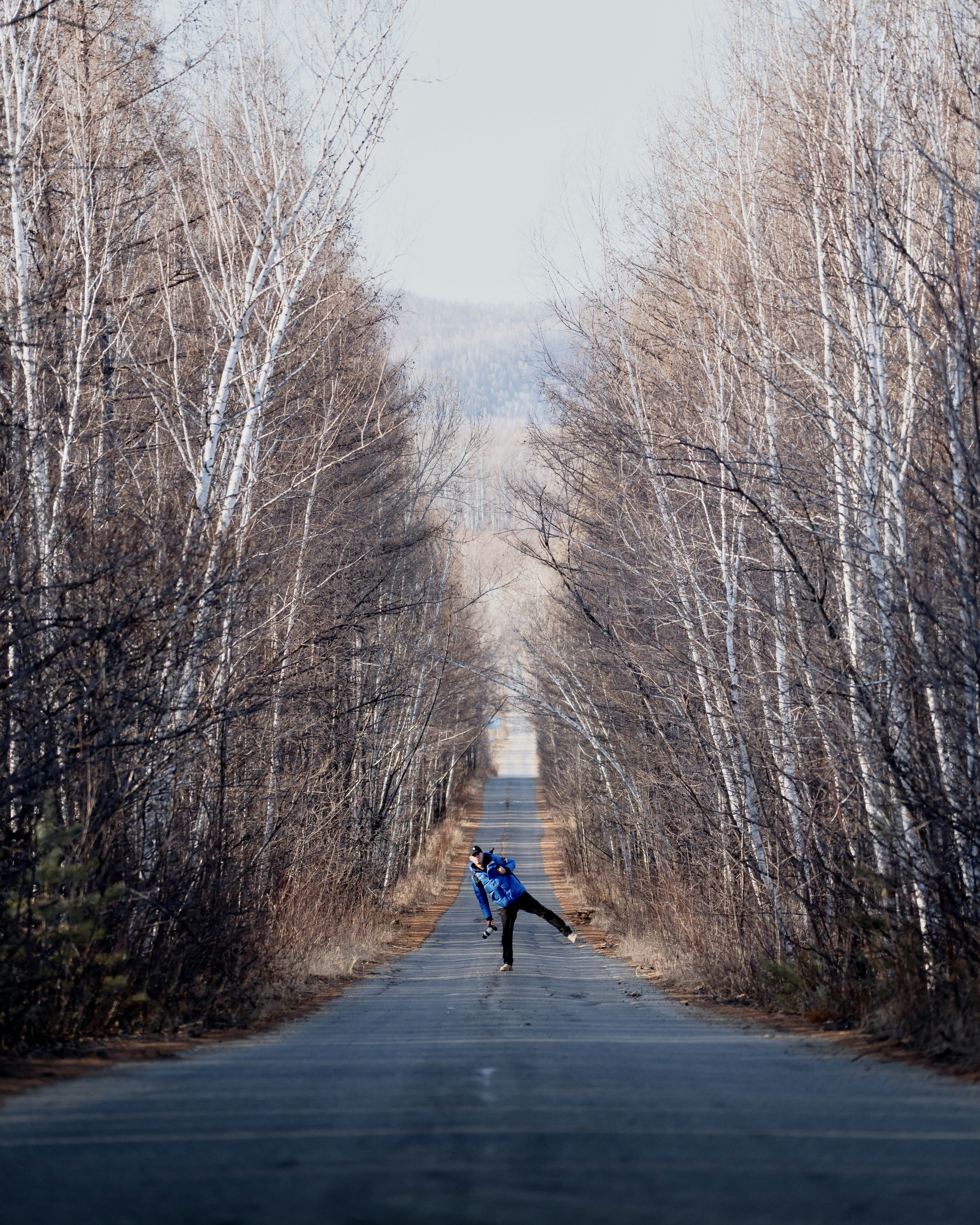 a person standing in the middle of a road surrounded by trees