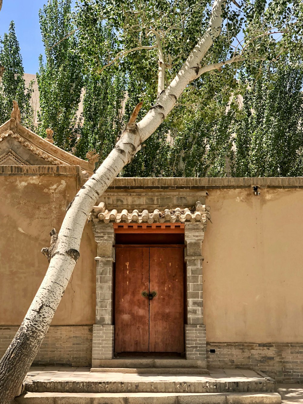 a building with a tree in front of it