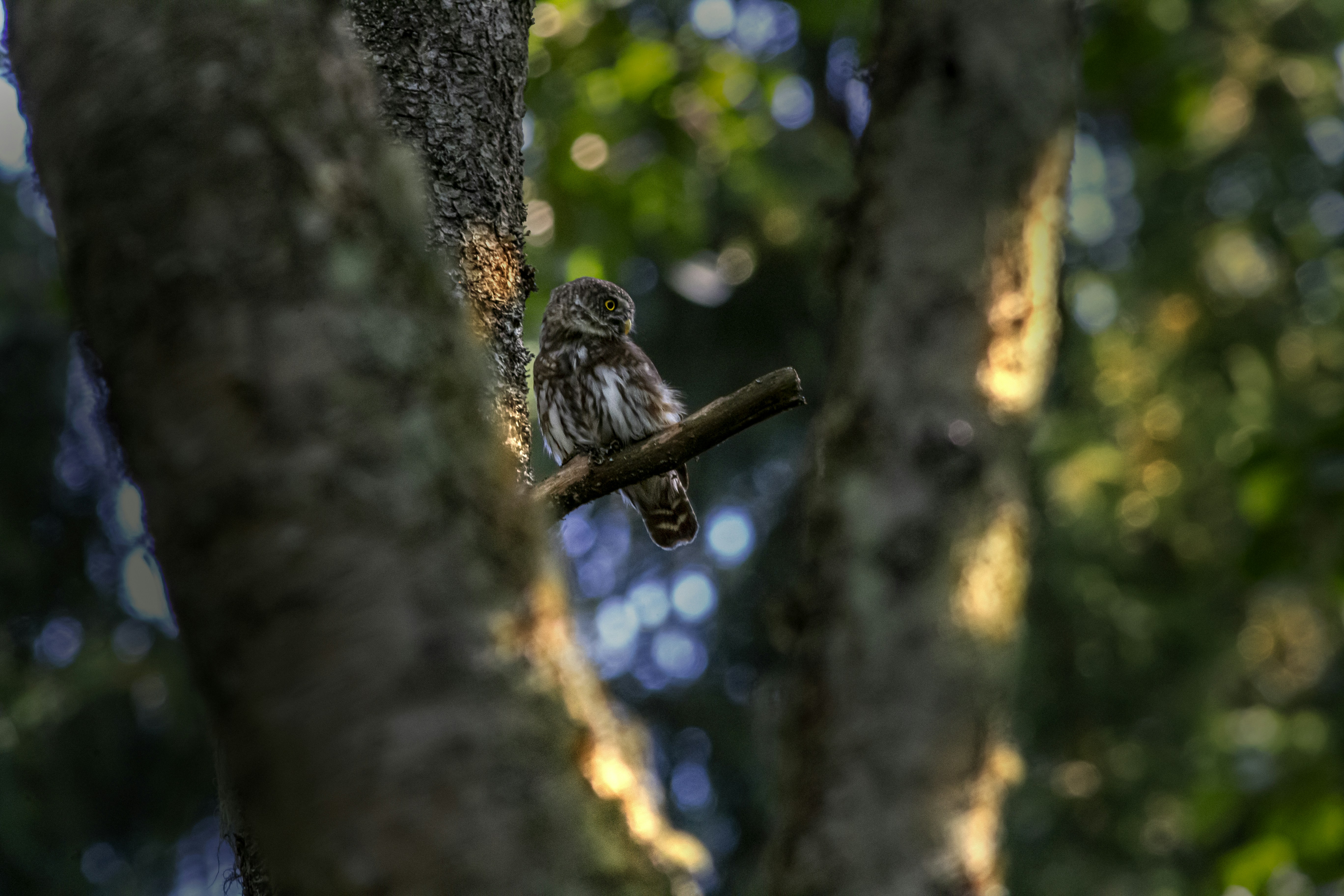 Photo by erik_karits