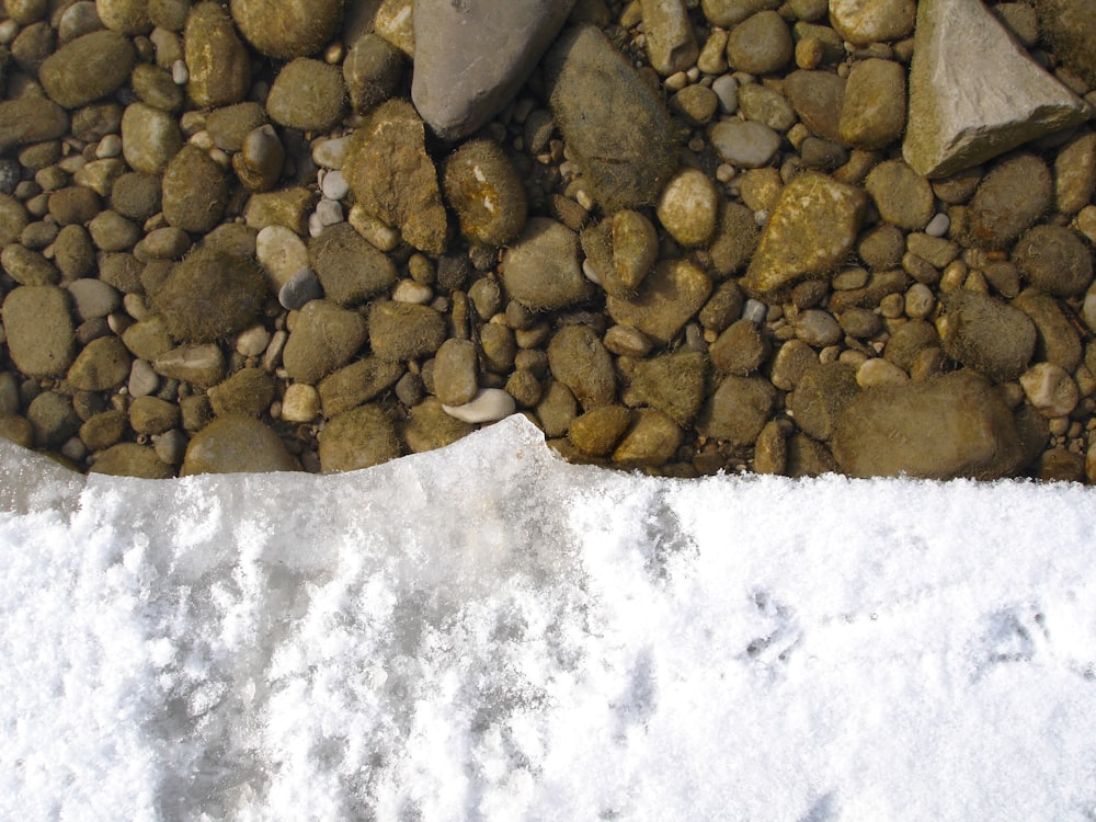 a close up of rocks and snow on the ground