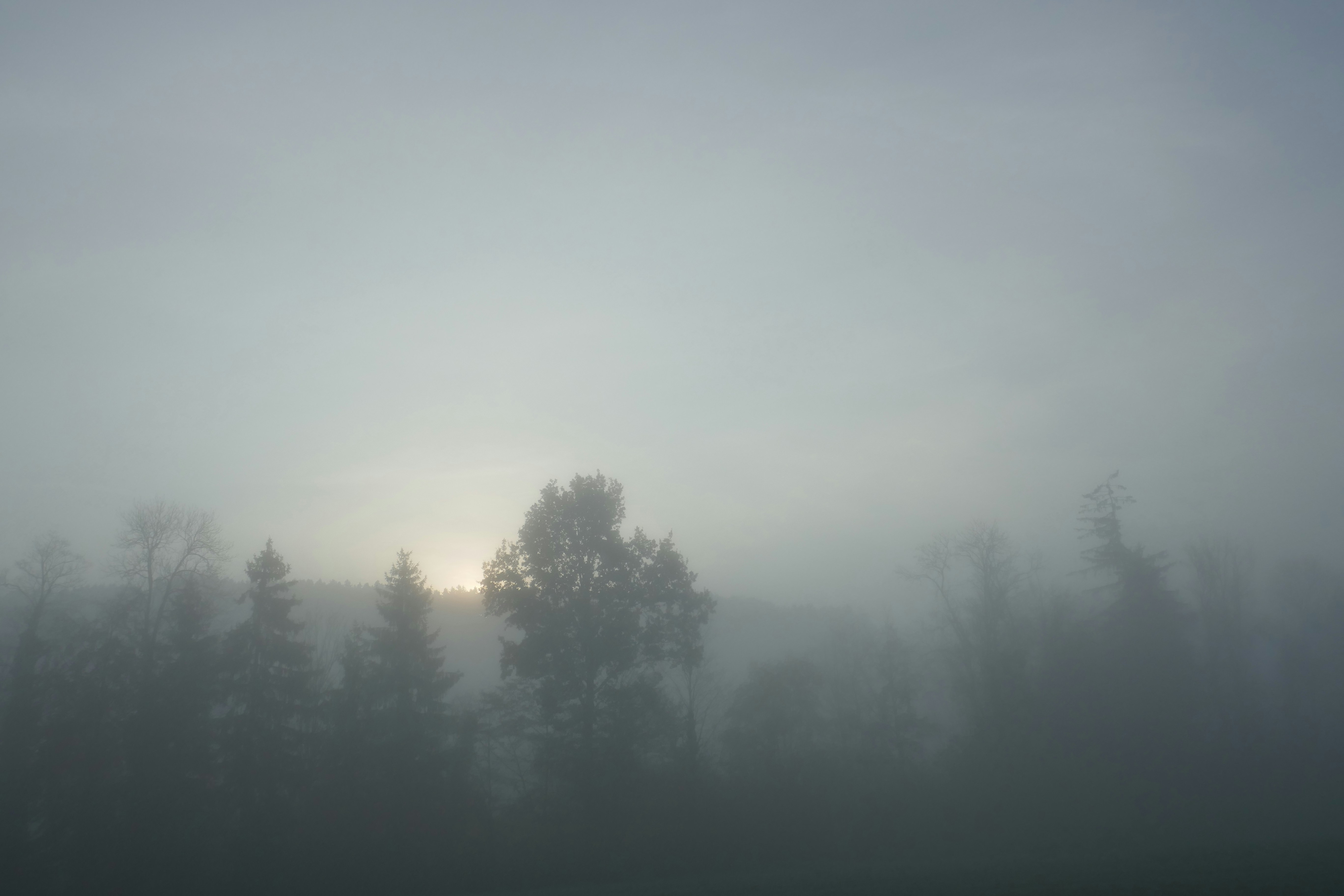 Photo by monikamanenti